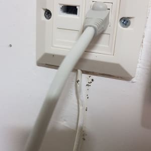 שקע רשת עם כבל מחובר לקיר