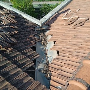 רעפים שבורים על גג עם עלים וענפים