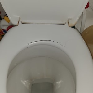 אסלה עם מכסה פתוח וסדק בשפה