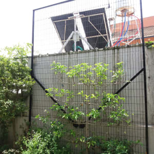 מסגרת מתכת עם רשת על קיר בטון בגינה