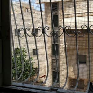 חלון עם רשת למניעת כניסת יונים