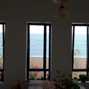 עציצים עם צמחים ירוקים ופרחים ורודים על אדן החלון