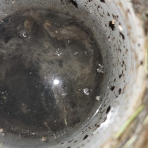 מים עומדים בצינור עם לכלוך