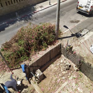 אדם גוזם שיחים עם מזמרה ליד ערימת גזם גדולה