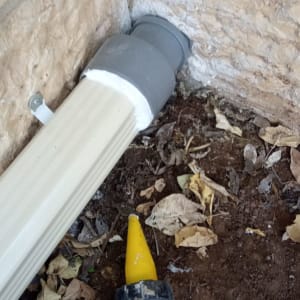 צינור ניקוז מחובר לקיר עם עלים יבשים