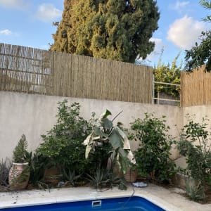 גדר עץ במרפסת עם צמחים מסביב לבריכה