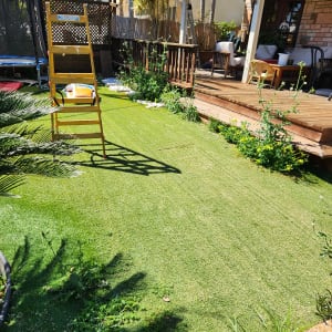 דשא ירוק עם צמחים וציוד גינון