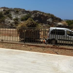 אדם עם שקי גזם ליד רכב לבן בגינה