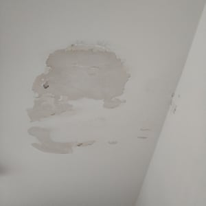 תקרה עם קילופי צבע ולחות