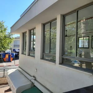 חלונות נקיים בבניין עם השתקפות עצים