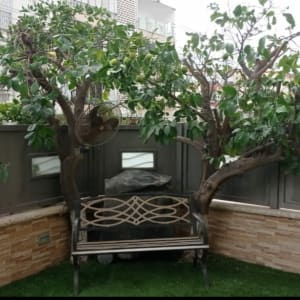 שני עצים ירוקים עם ספסל מתכת בגינה קטנה