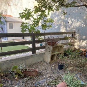 גדר עץ עם עציצים וארון עץ בחצר