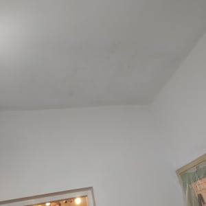 תקרה עם סימני רטיבות או עובש