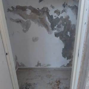 קיר עם כתמי רטיבות ועובש, רצפה מלוכלכת