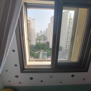 חלון עם רשת למניעת כניסת יונים