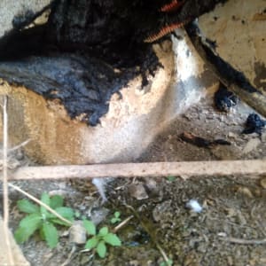 חומר איטום שחור על צינור ובסיס בטון