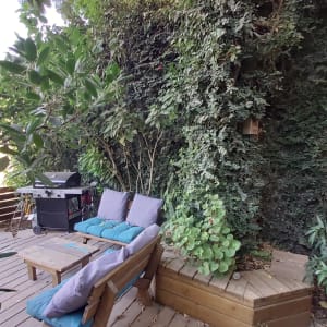 צמחים מטפסים על קיר, עציצים על דק עץ