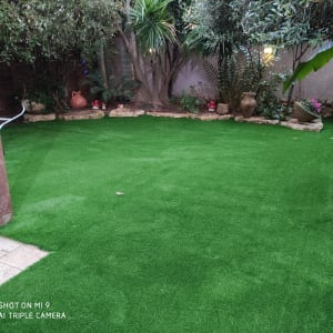 דשא סינתטי עם עציצים ועצים מסביב