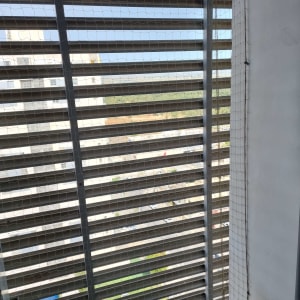רשת נגד יונים מותקנת על חלון עם תריסים