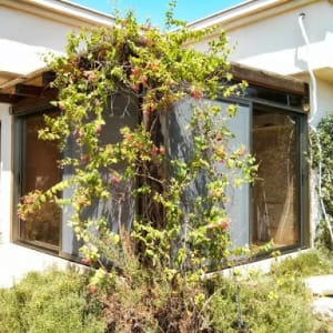 חלונות אלומיניום עם מסגרת כהה בבית