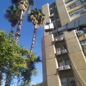 אדם בגובה על מנוף גוזם עצי דקל