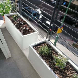 עציצים עם צמחים ופרחים במרפסת