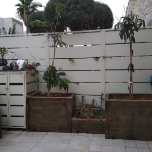 עציצים עם צמחים וכלי גינון בחצר מגודרת