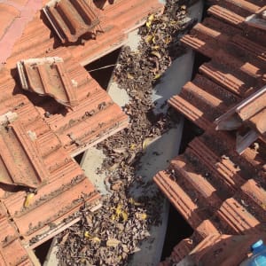 אדם מנקה עלים מגג רעפים אדום