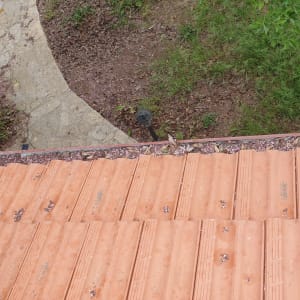 רעפים כתומים עם עלים וענפים על הגג