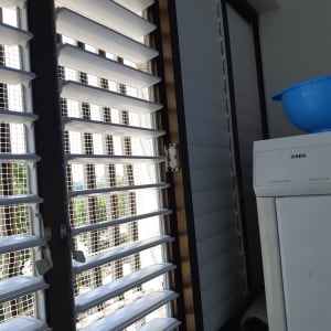 תריסים לבנים עם רשת על חלון זכוכית