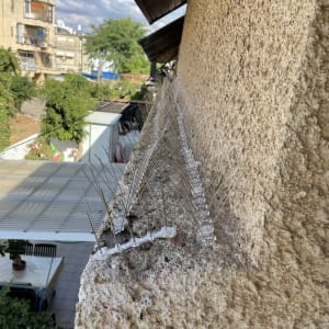 דוקרנים על גג למניעת ציפורים