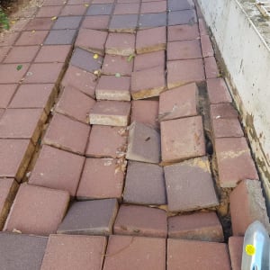 אבנים משתלבות שבורות ומרצפות זקוקות לשיפוץ