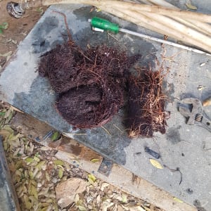 שורשים על הקרקע ליד צינורות וכלי עבודה