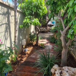 שביל עץ בגינה עם עצים ושיחים ירוקים