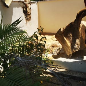 אדם חותך גזע עץ עם מסור חשמלי