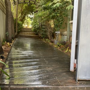 שביל עץ רטוב עם צמחייה מסביב