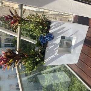 עציץ עם צמחים על רצפת עץ במרפסת