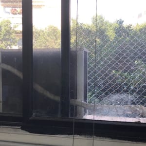 רשת מתכת על חלון למניעת כניסת יונים