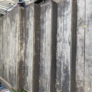 מדרגות עץ עם עלים יבשים וגמד גינה