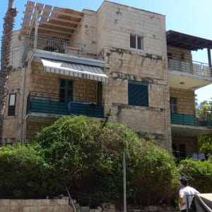 אדם ליד סולם וגדר חיה, גיזום שיחים