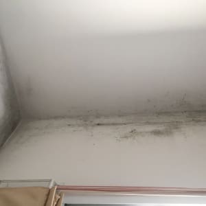 כתמי עובש על תקרה וקיר לבנים