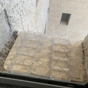 דוקרנים שקופים למניעת נחיתת יונים על אדן חלון