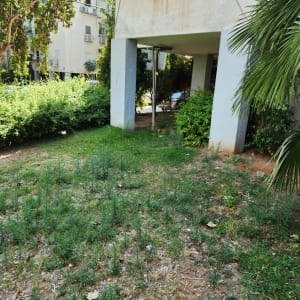 צמחים ועציצים בגינה קטנה ליד בניין