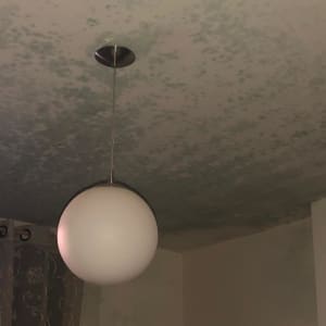 תקרה עם כתמי עובש ולכלוך