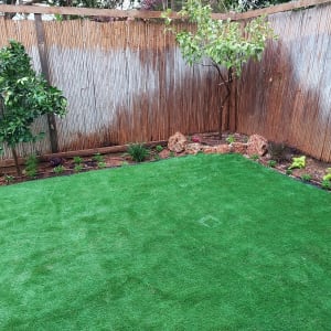 דשא ירוק, עצים ושתילים בגינה מגודרת