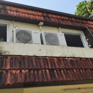 רשת מתוחה על חלון למניעת כניסת יונים