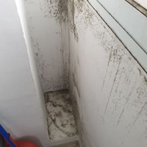 קיר עם עובש ולכלוך, זקוק לאיטום