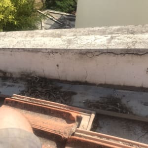 סדקים בקיר גג עם עלים יבשים