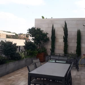 עצים ושיחים בגינה על גג, ללא פעולת גיזום נראית