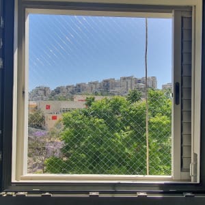 חלון פתוח עם רשת נגד יונים ונוף עירוני